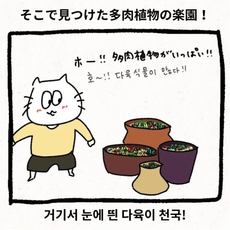 manga_76377017_1f37_002.webp