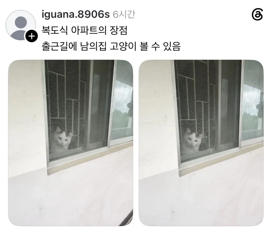 의외로 담배 피면 안되는 장소 대표 이미지