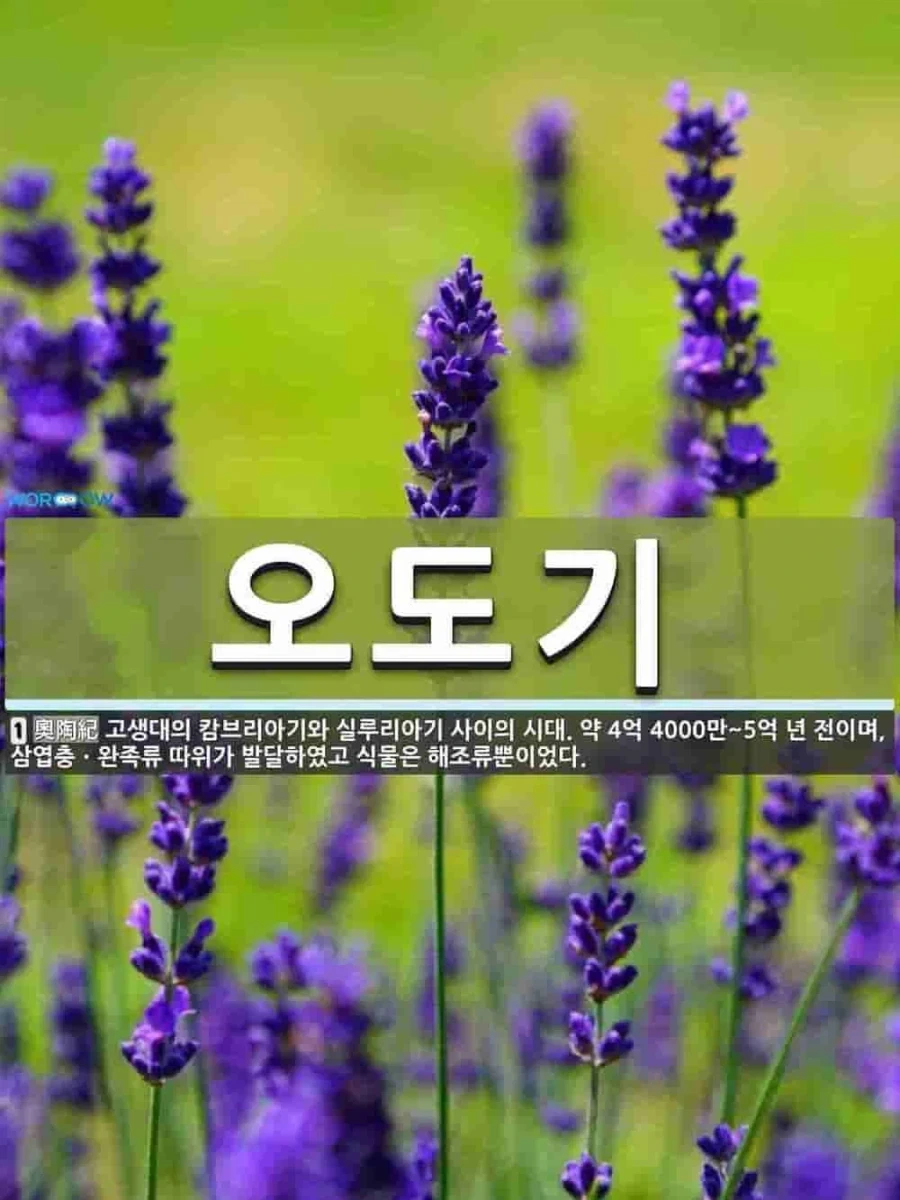 부자가 알려주는 성공하는 방법.jpg 대표 이미지
