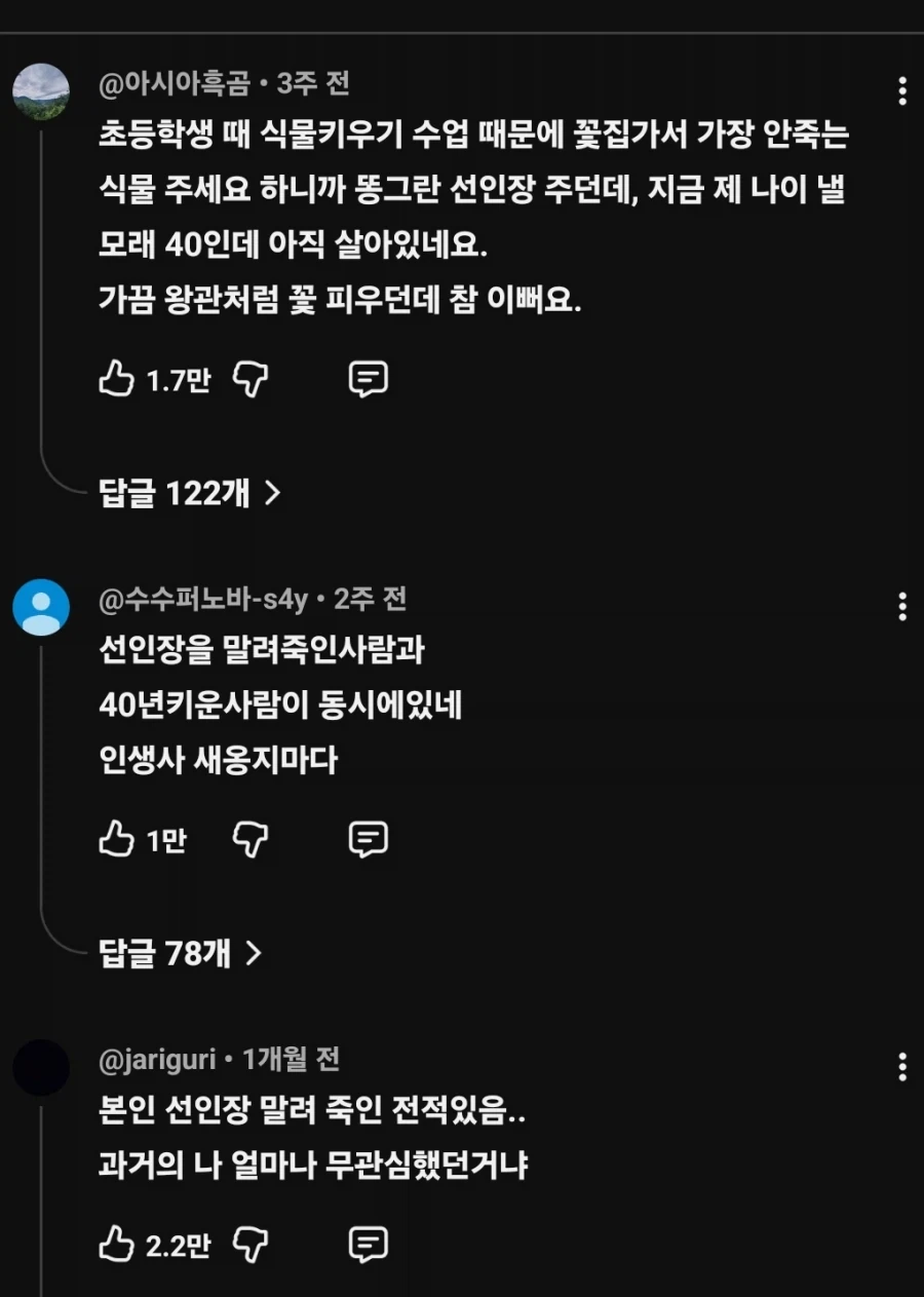 전설의 영화 불법 자막 레전드 대표 이미지
