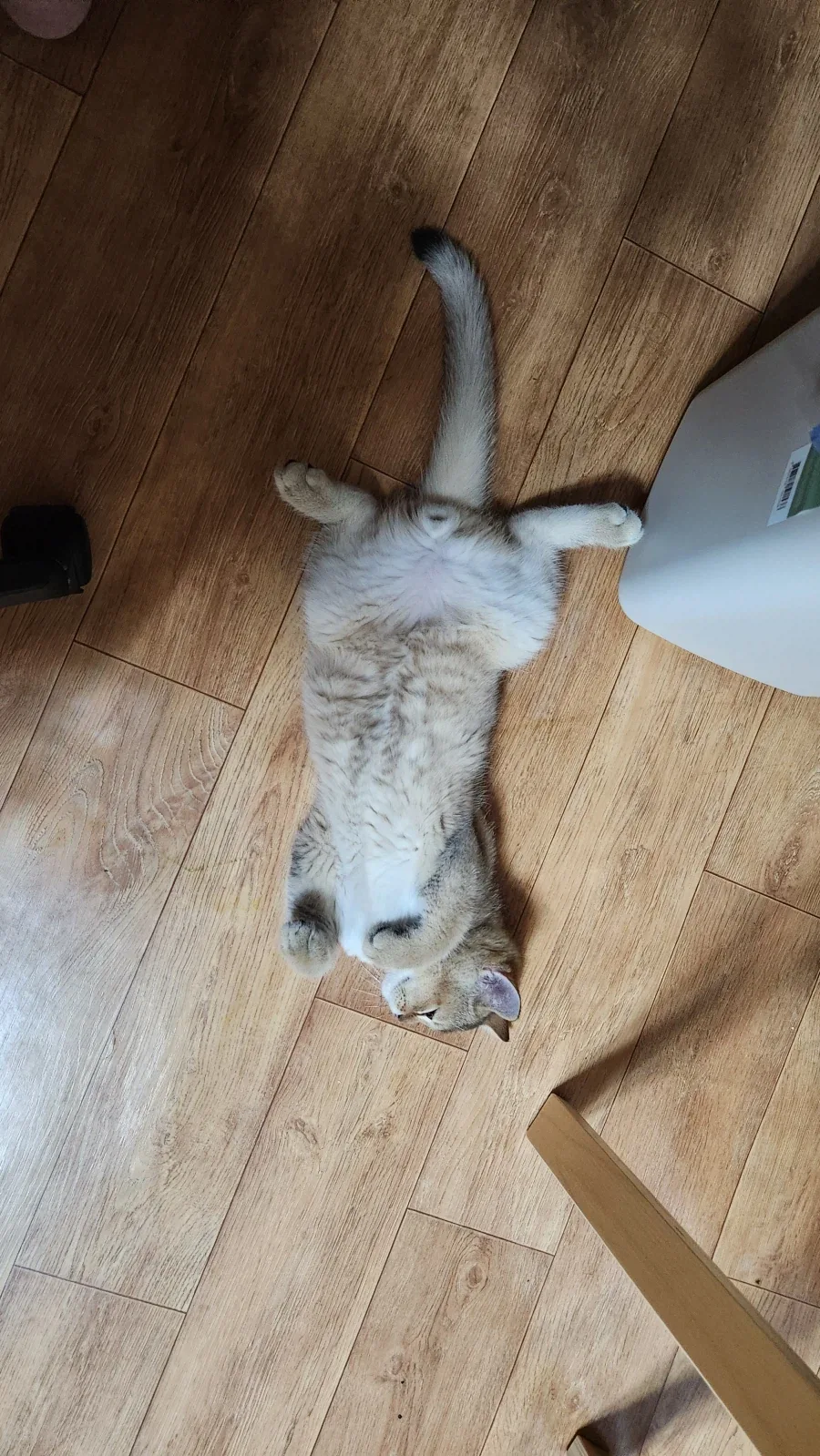 별거없는_3.webp