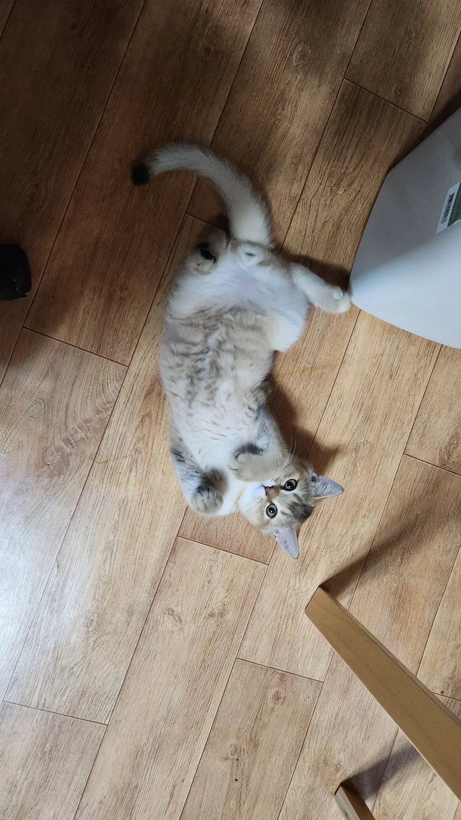 별거없는_4.webp