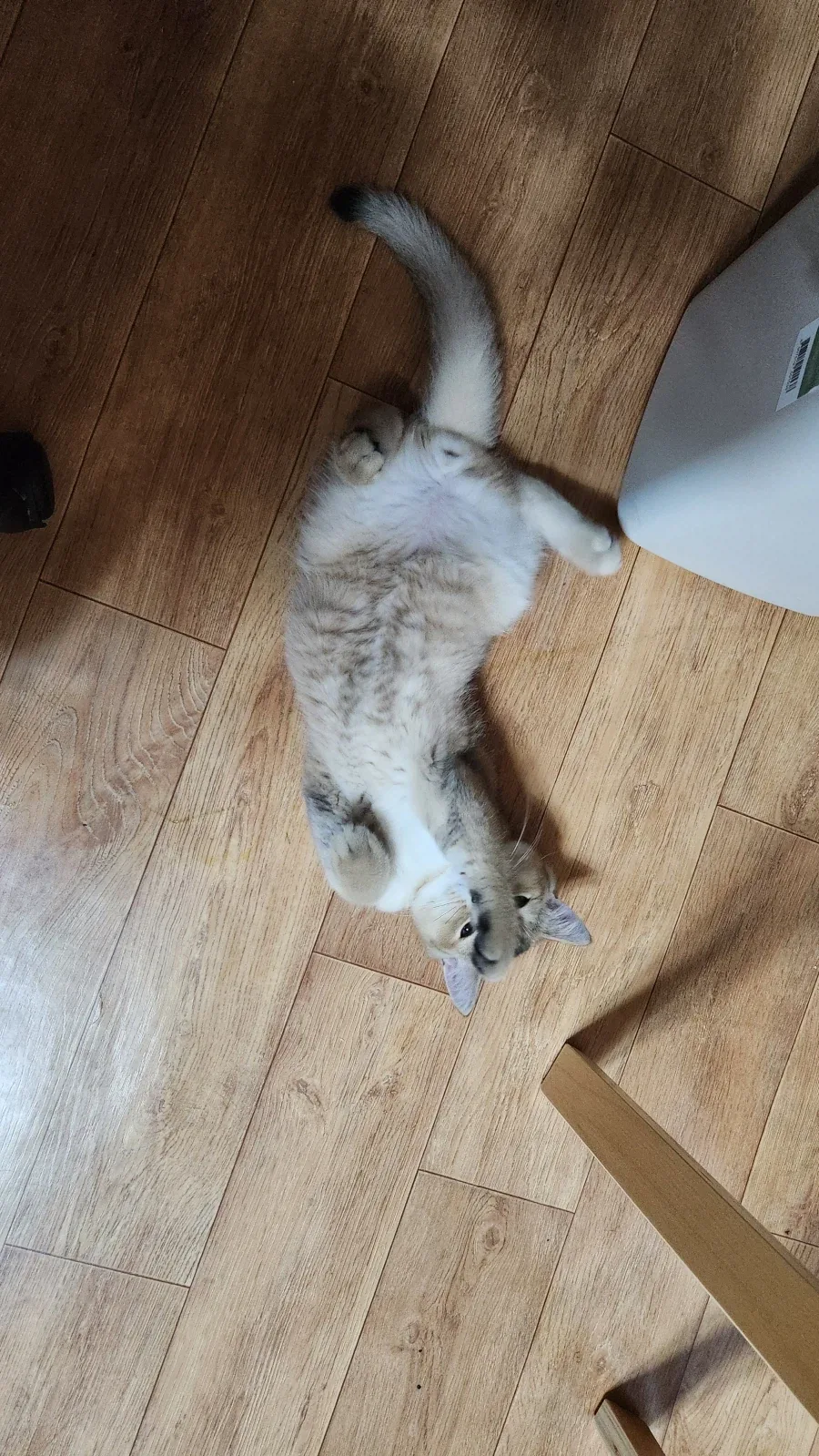 별거없는_5.webp