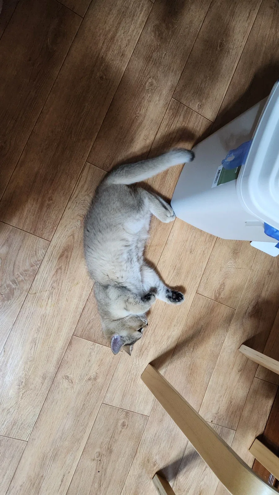 별거없는_6.webp
