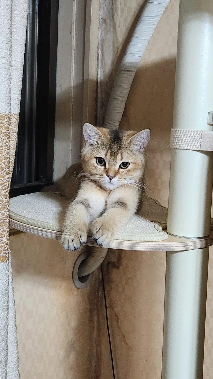 별거없는_7.webp
