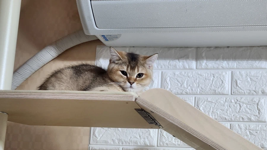 별거없는_8.webp