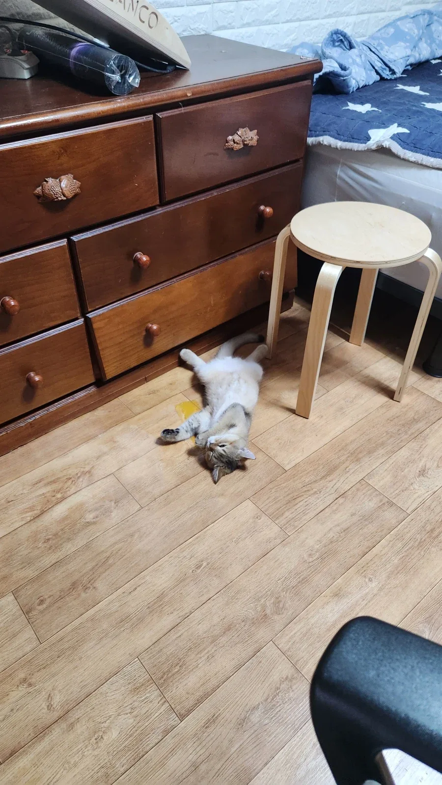 별거없는_10.webp