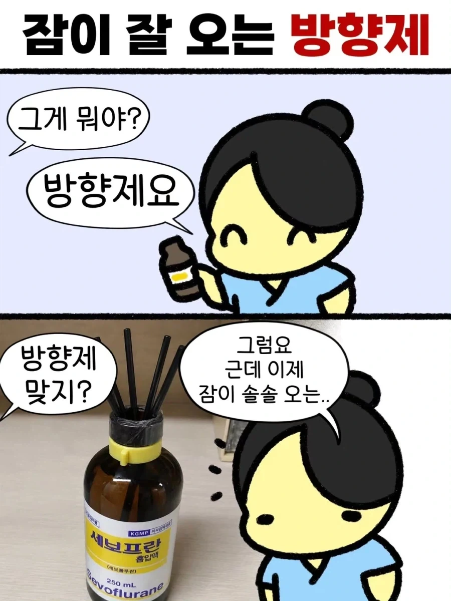 성심당 100m 밖 상권은 폐업 지옥 대표 이미지
