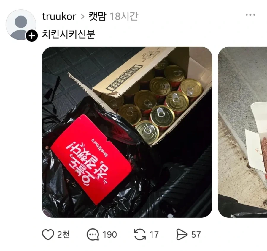그들의 방식으로 캣맘을 토벌한 용자.jpg_6.webp