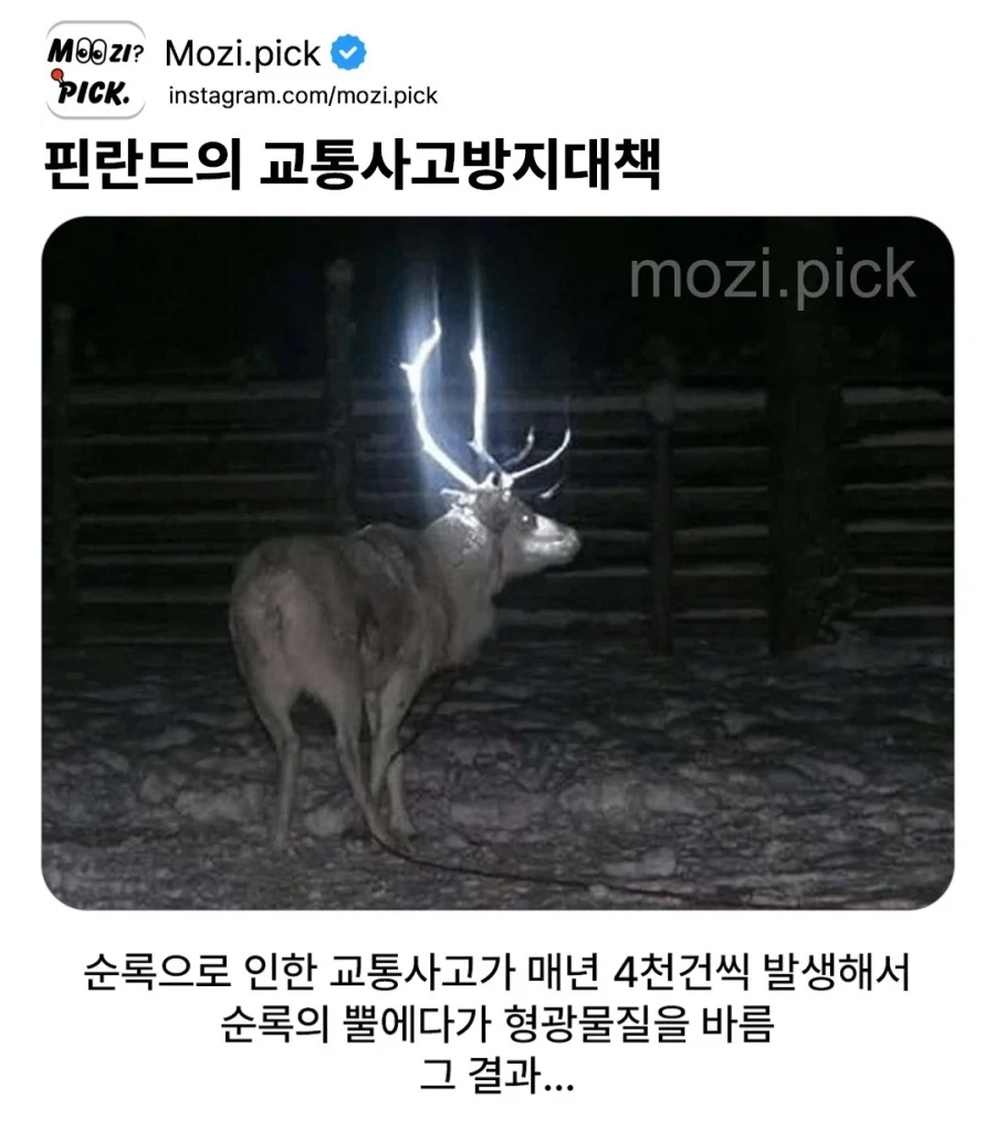 이순신 장군의 처절했던 마지막 1년 이미지 3