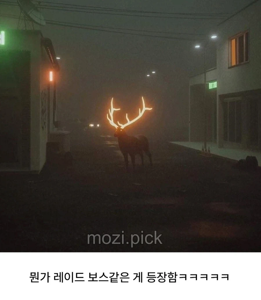 핀란드의 교통사고 방지 대책_2.webp