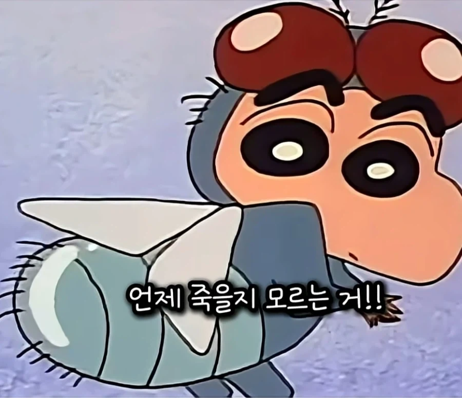 폭주족과 똥파리가 닮은점_5.webp