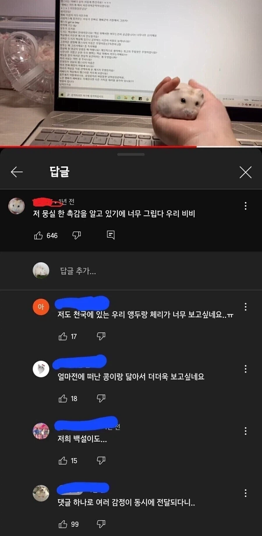 공식 설정 때문에 더러운 밈이 한가득이었던 라노벨 히로인 이미지 2