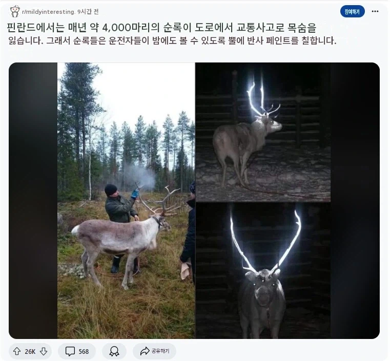 온라인겜 정모 죽음의 이지선다ㅋㅋㅋ 대표 이미지