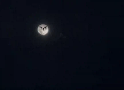 현대차 노조 "고정급여가 낮아 생활비 유지하려면 잔업 특근해야해" 이미지 2
