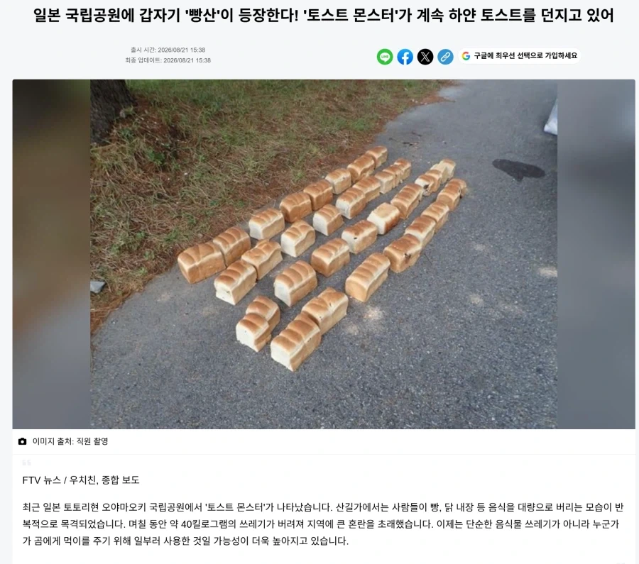 여름 씹덕 괴담 이미지 16
