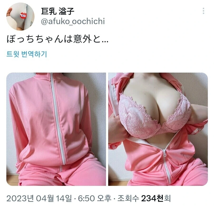 프리렌) 제리에가 프리렌을 싫어하는 이유 대표 이미지