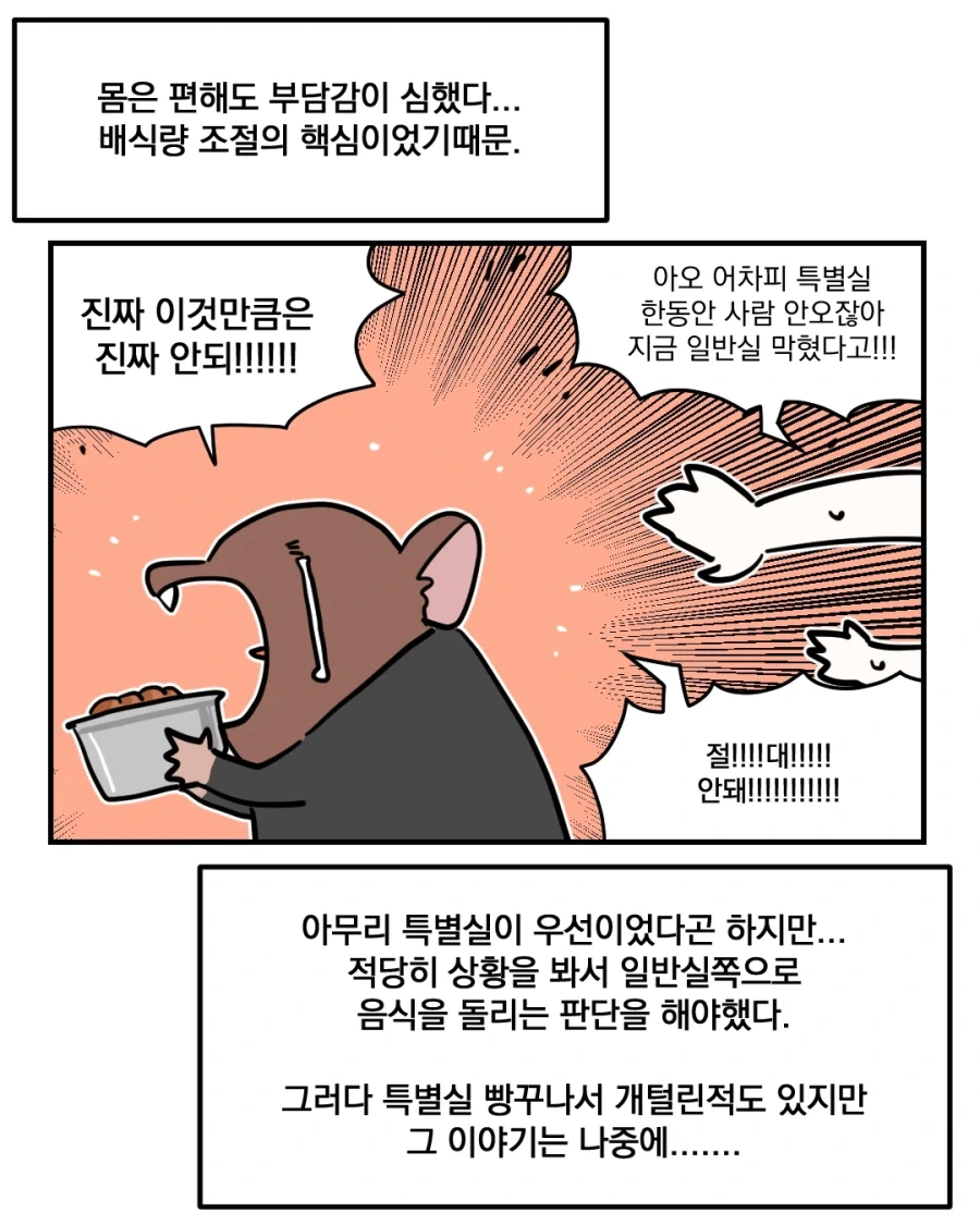 manga_76388850_7029_010.webp