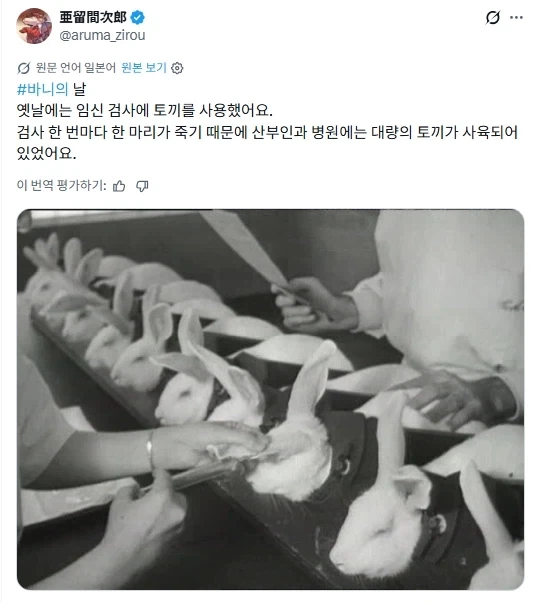 초딩때 남자 패고 다니던 여자애들 심리. 이미지 3