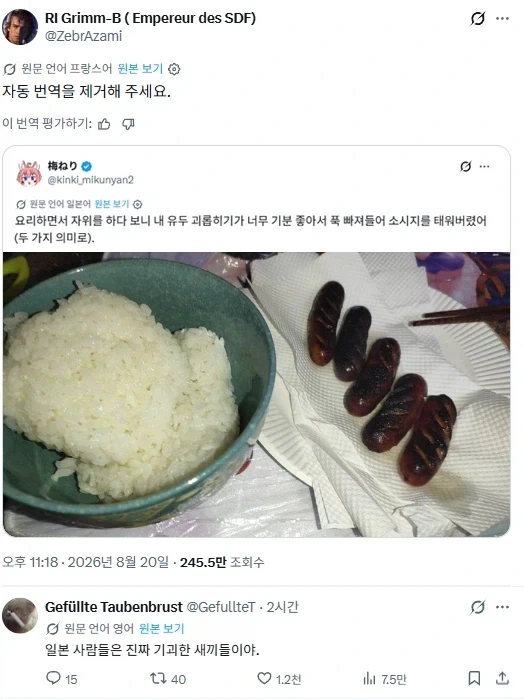 인류가 내 지능 가졌으면 석기시대 못 벗어나고 아마.... 이미지 14