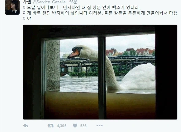의사 : 이미 다 알고 오셨군요 이미지 2