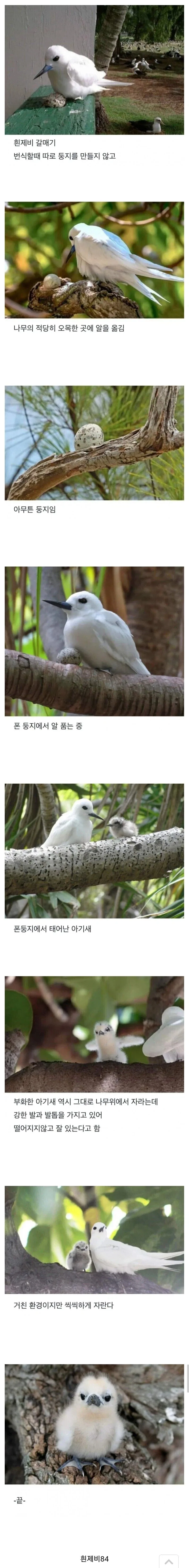 왠지 다른의미로 공포스러운 수학학원 이미지 5