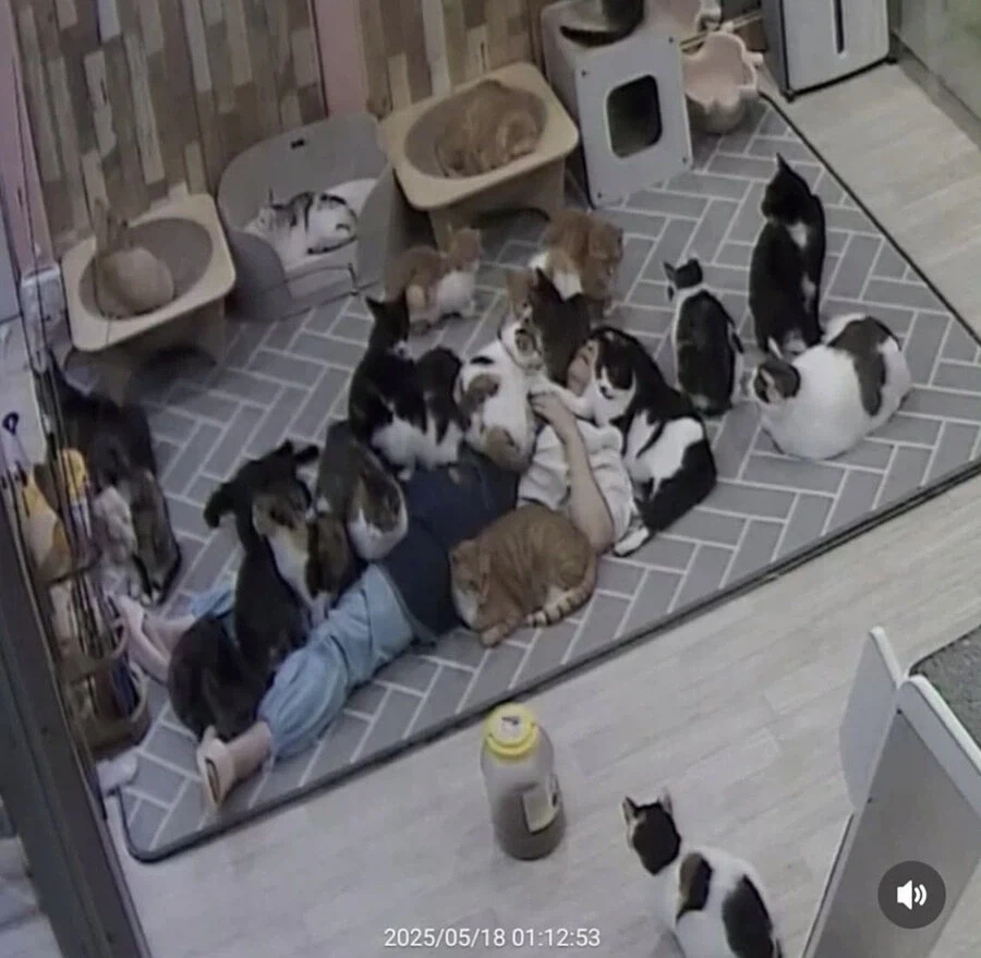 리센느) 원이 7000만원짜리 포켓몬카드 뽑음 이미지 3