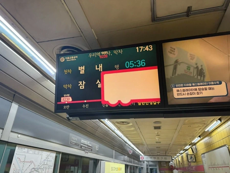고슴도치 ㅅㅅ 흔적 대표 이미지