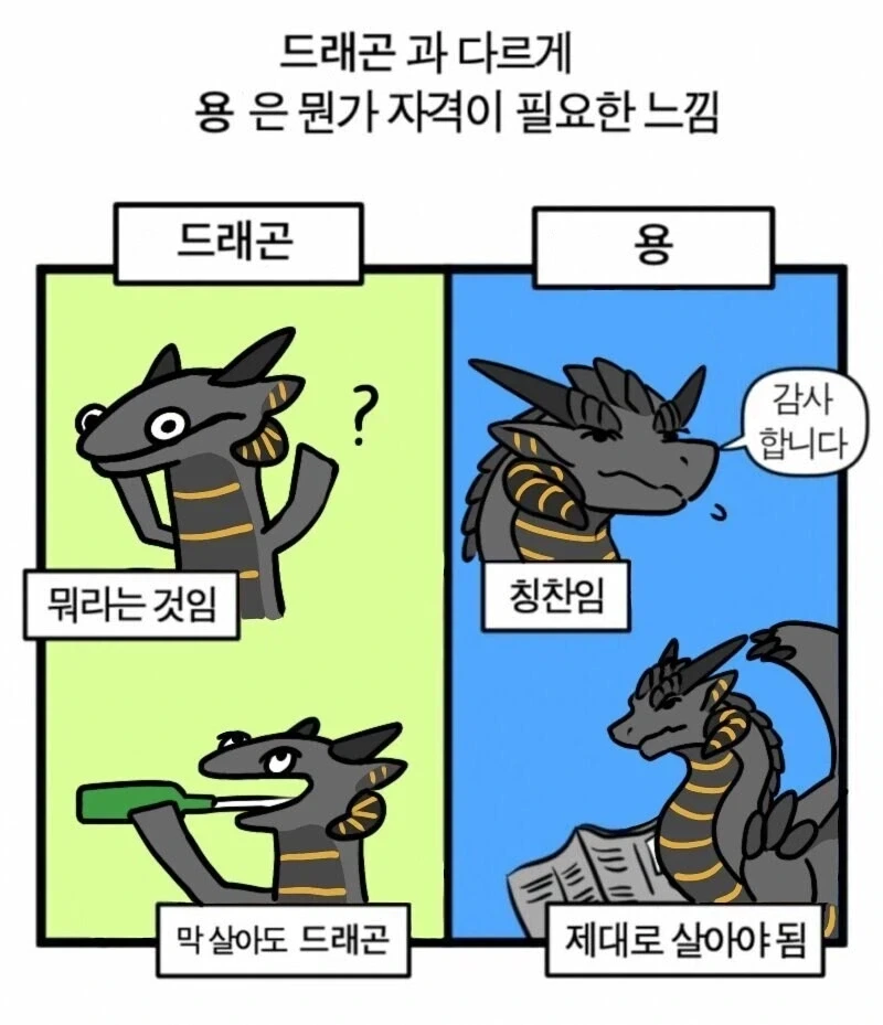 종북마가 이미지 6