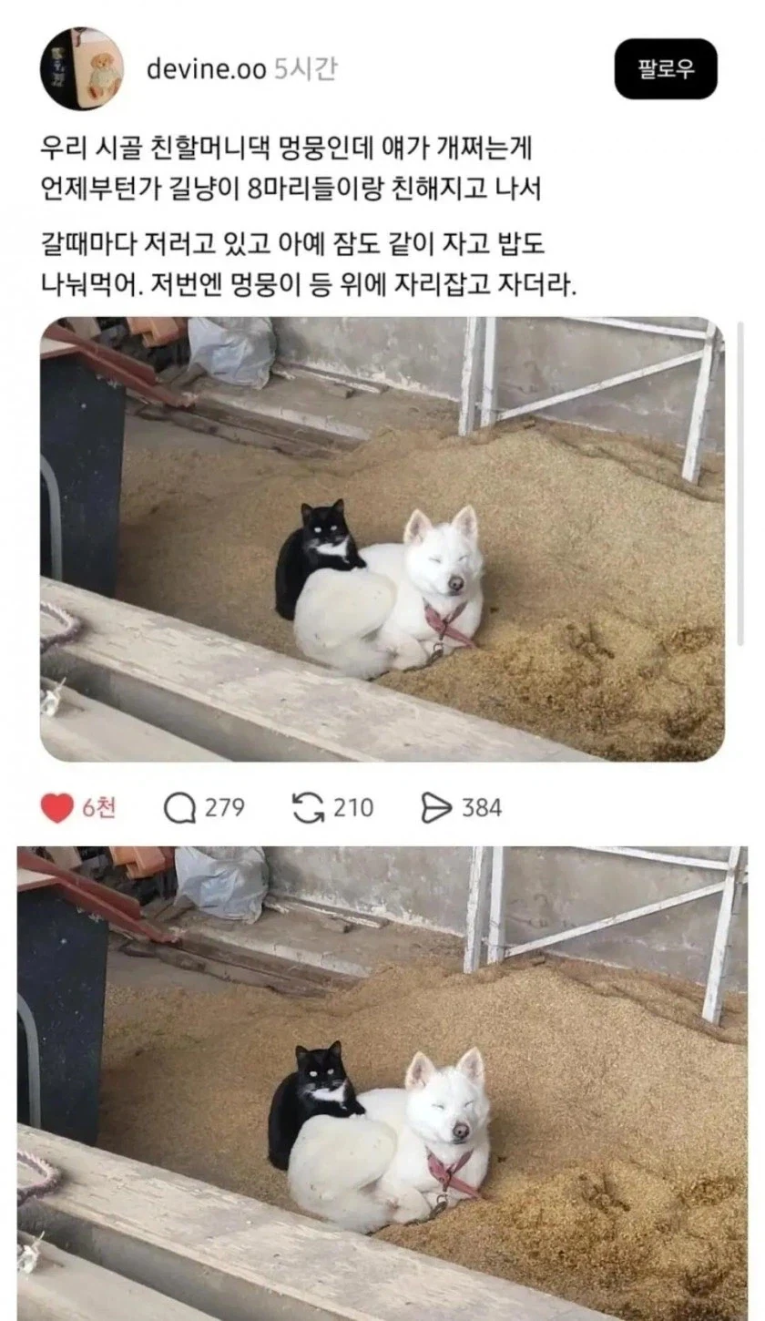 어느 유부녀의 스트레스 해소방법 대표 이미지