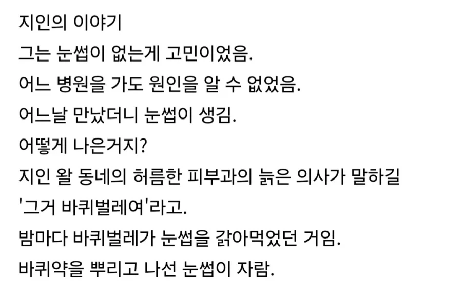 눈썹이 없던 친구.jpg_2.webp