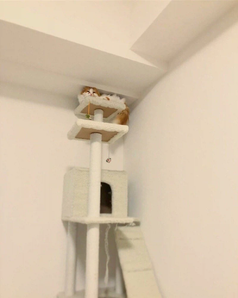 인살어로 동화를 각색 부탁드립니다! 이미지 9