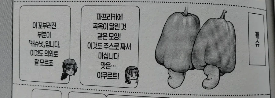 원더우먼은 투명 제트기가 있는데 이미지 10