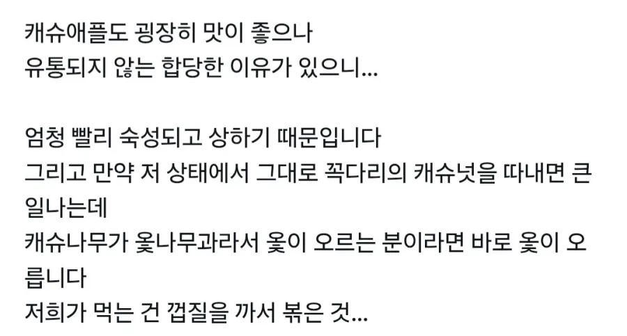 캐슈넛의 비밀.jpg_2.webp