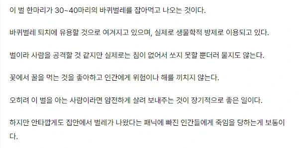 절대로 잡으면 안 되는 곤충_3.webp