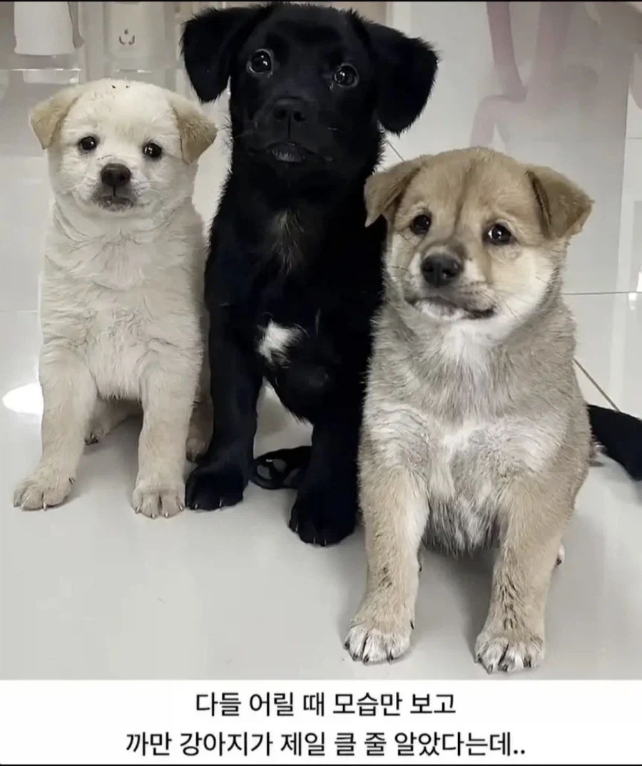 좋아~ 로드팀 합체해!!!! 이미지 7
