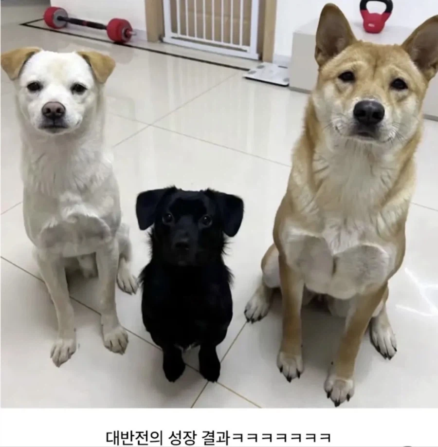 ???: 엄마 왜 나는 안컸을까요…?_2.webp