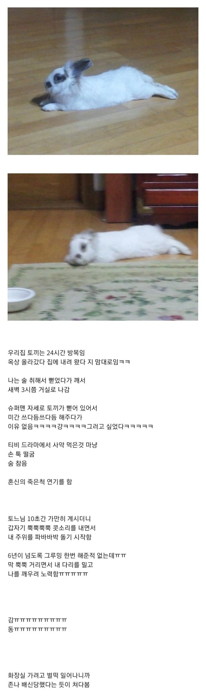 "Hi" 이미지 3