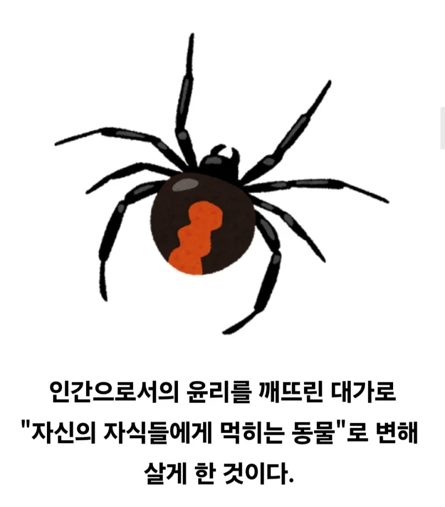 그리스 로마 신화 아라크네가 거미가된 이야기_15.webp