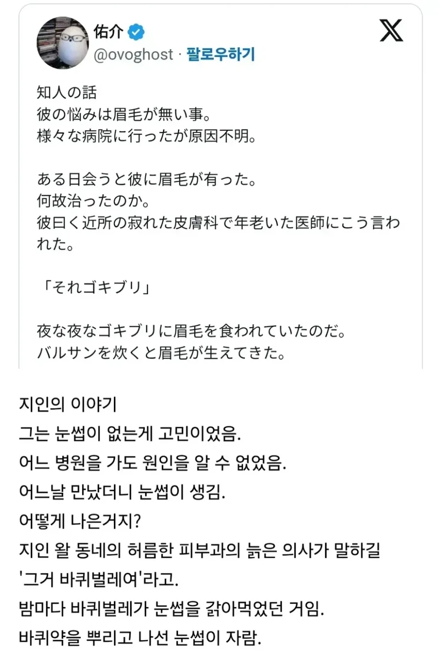 힐링 게임 포코피아 요약 대표 이미지