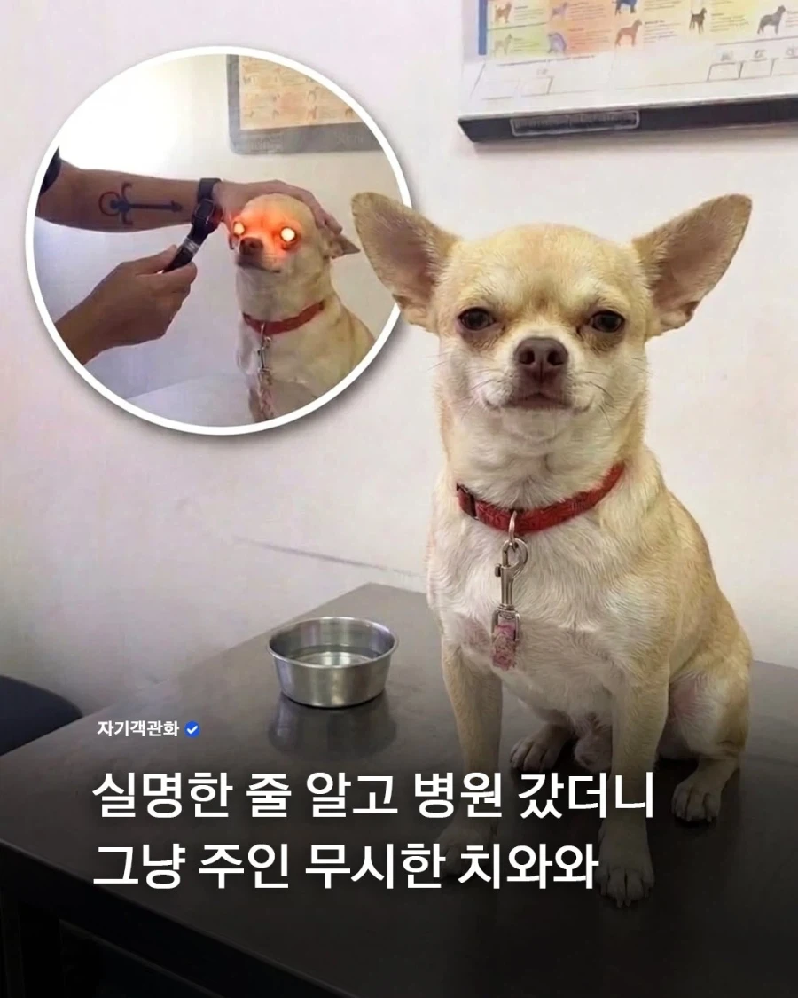 중국의 초전도체.jpg 이미지 3