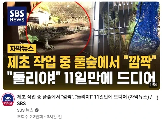 박사학위를 따면 안되는 이유 대표 이미지