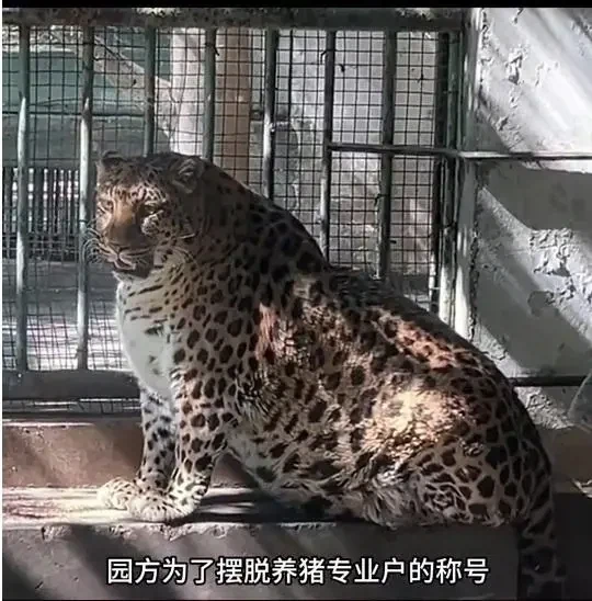 장거리 연애에 필요한 원거리키스도구 대표 이미지