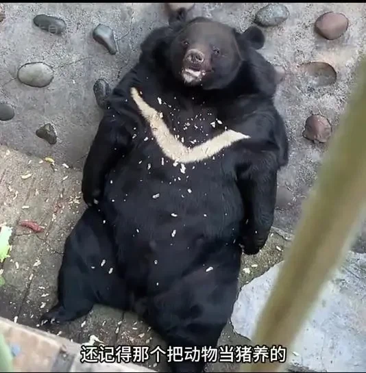 사료비 감당안된 동물원, 민간에 사료를 이양하자 생긴 일_4.webp