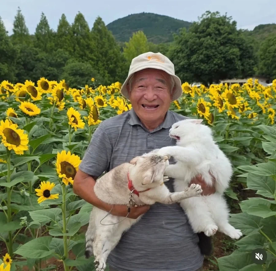 고양이 올리는 할아버지 계정_2.webp