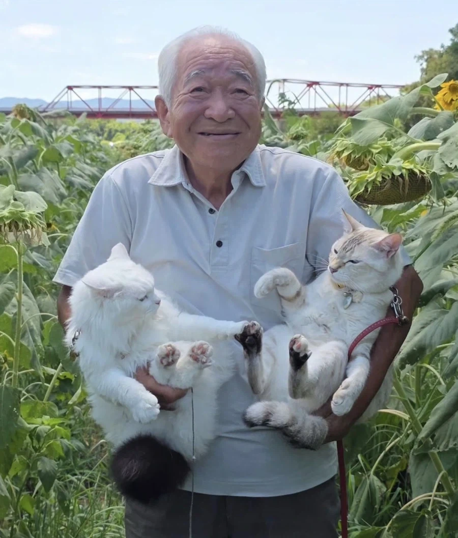 고양이 올리는 할아버지 계정_4.webp