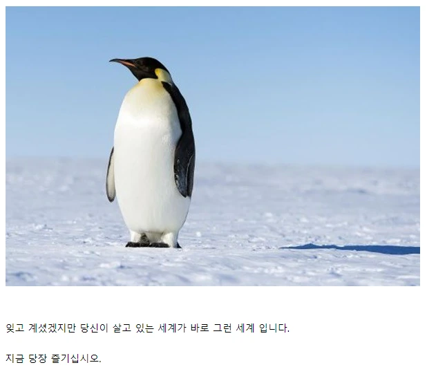 @) 10주년 공식 SD 나옴 이미지 2