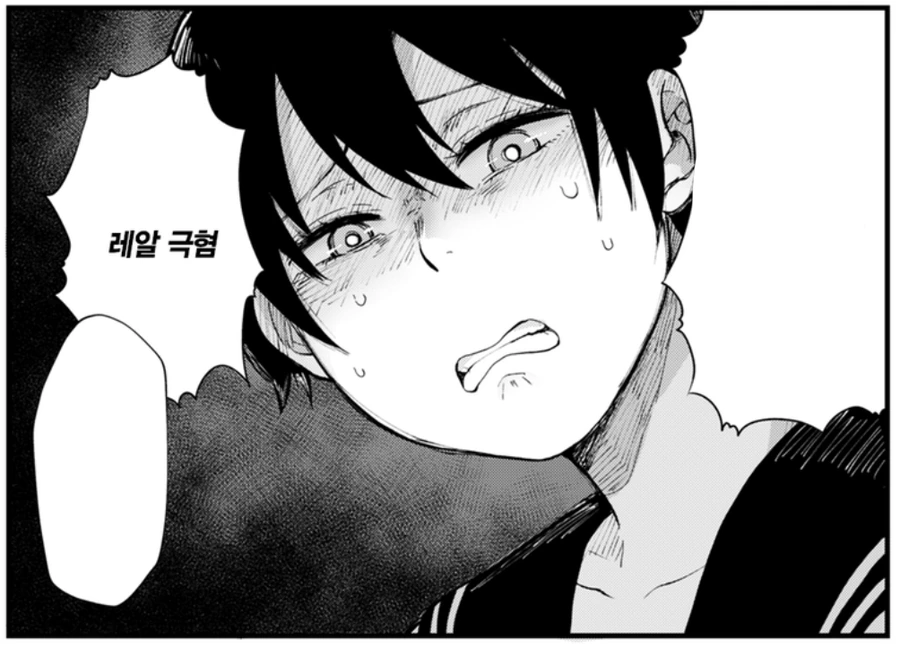 manga_2962813_009.webp