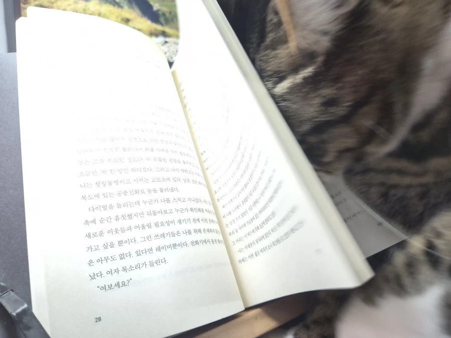 지능이 높은 사람 특징 이미지 6