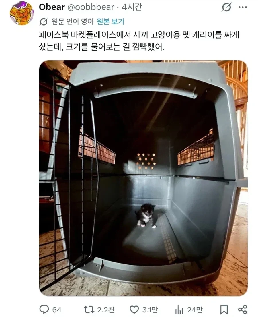 원자폭탄 영상인줄 알았는데 대표 이미지